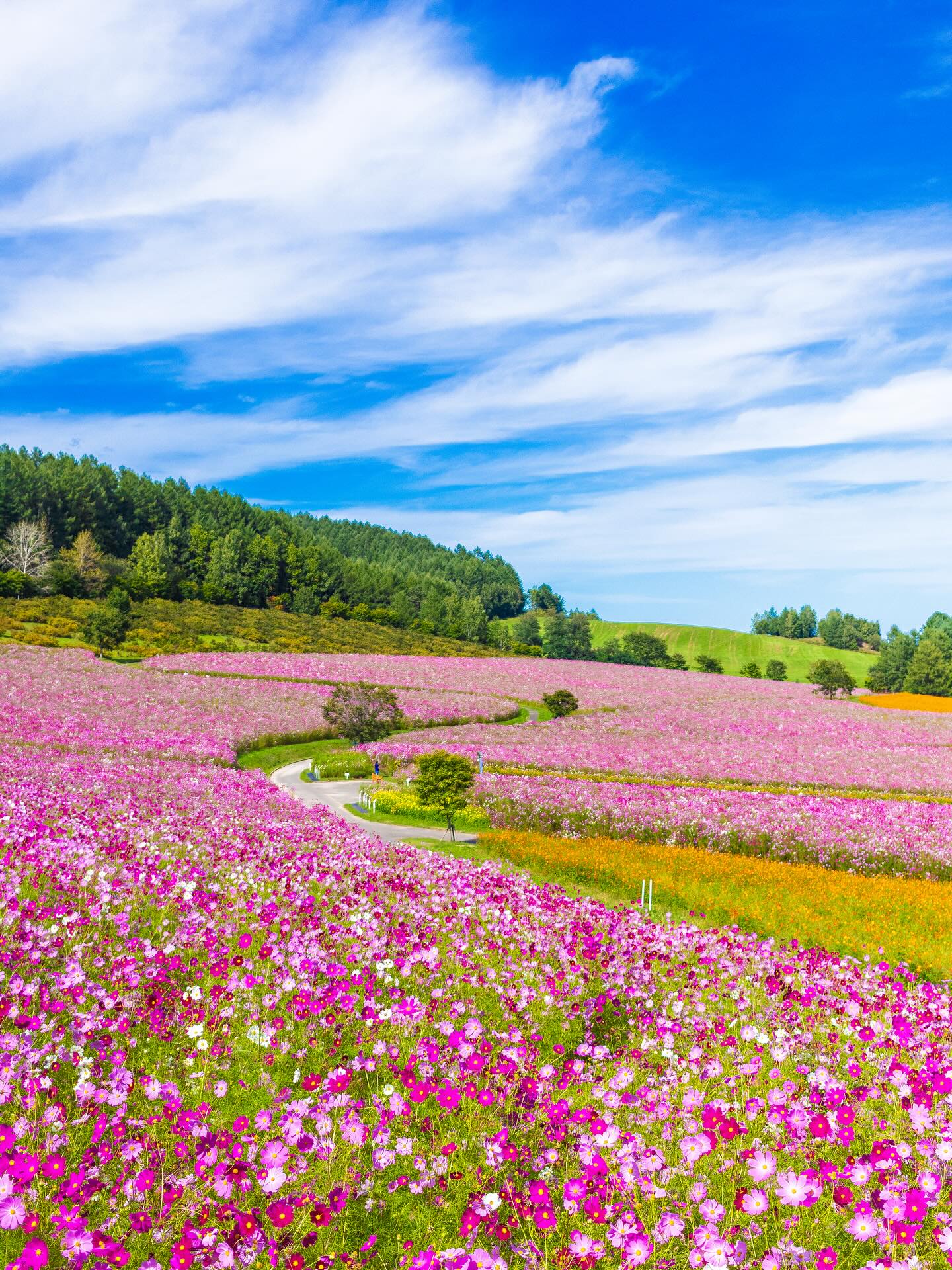 Instagramキャンペーン2025 優秀賞