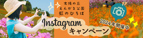 Instagram投稿キャンペーン