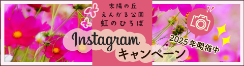 Instagram投稿キャンペーン