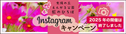 Instagram投稿キャンペーン
