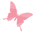 butterfly01
