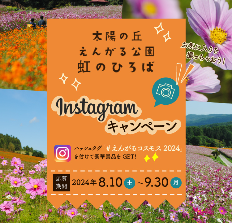 Instagramキャンペーン